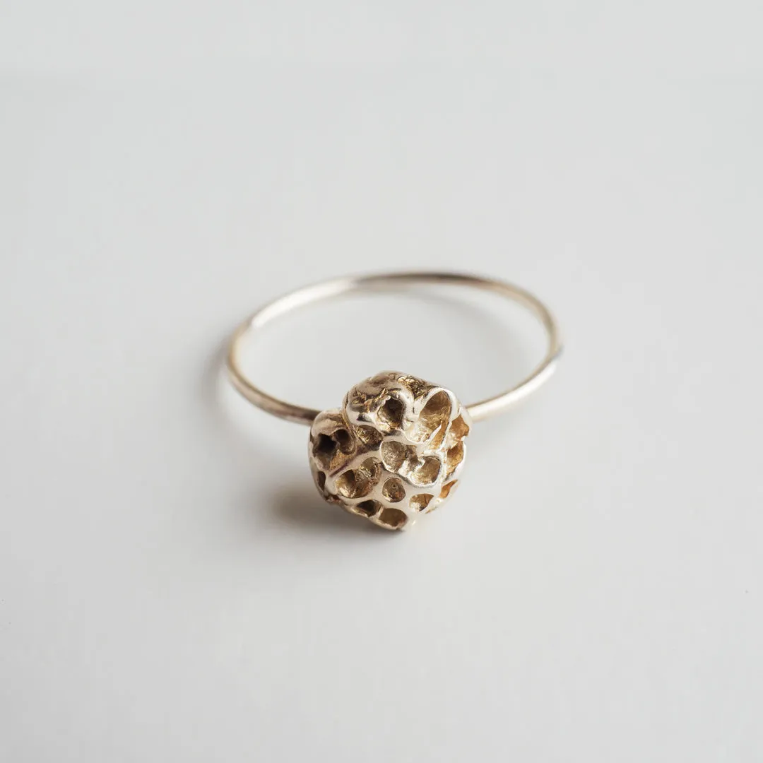 Coral - ring - silver 925