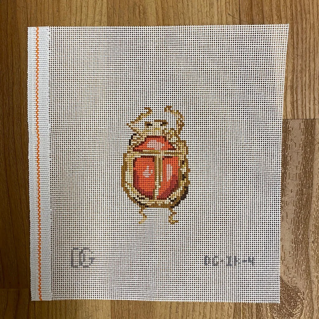 Coral Scarab Canvas