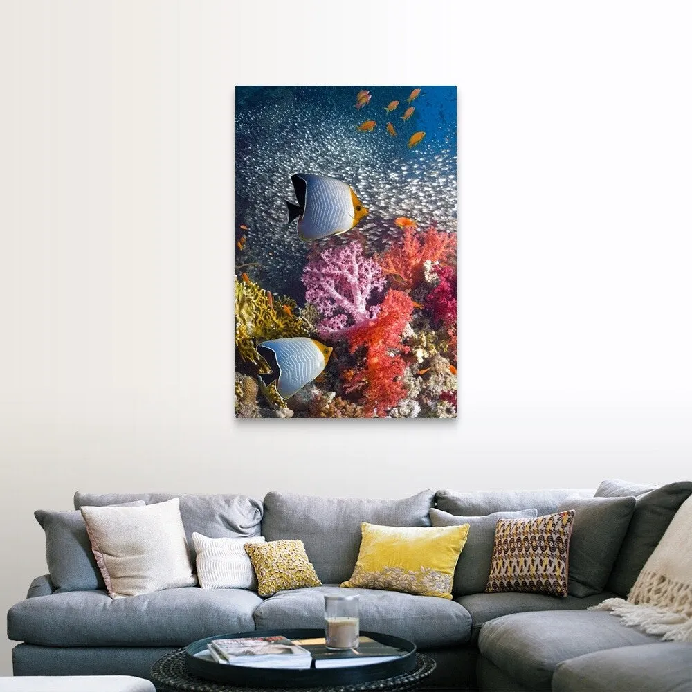 "Butterflyfish over coral reef" Canvas Wall Art