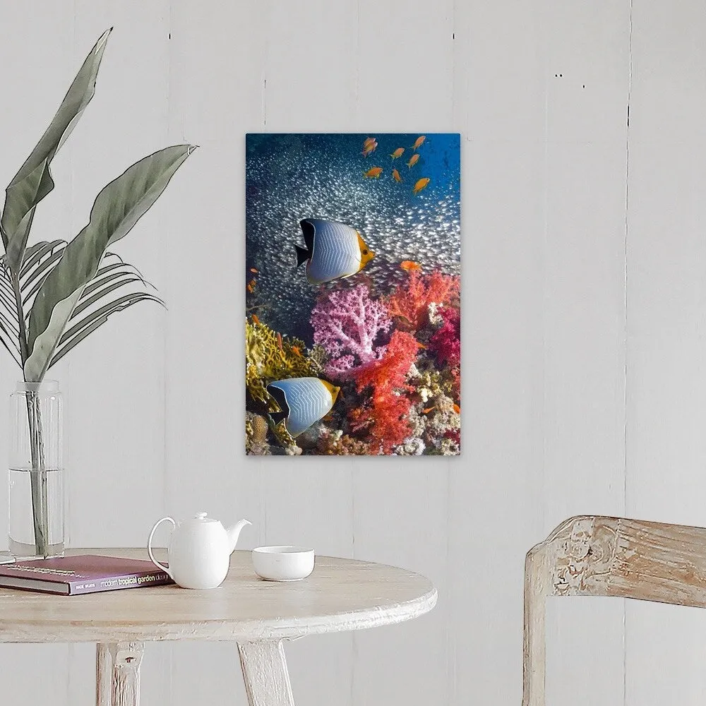 "Butterflyfish over coral reef" Canvas Wall Art