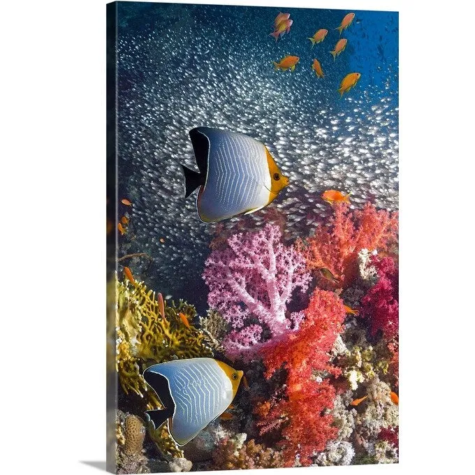 "Butterflyfish over coral reef" Canvas Wall Art