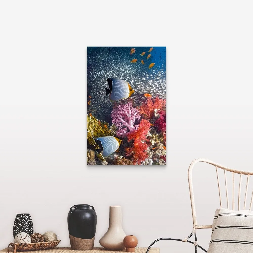 "Butterflyfish over coral reef" Canvas Wall Art